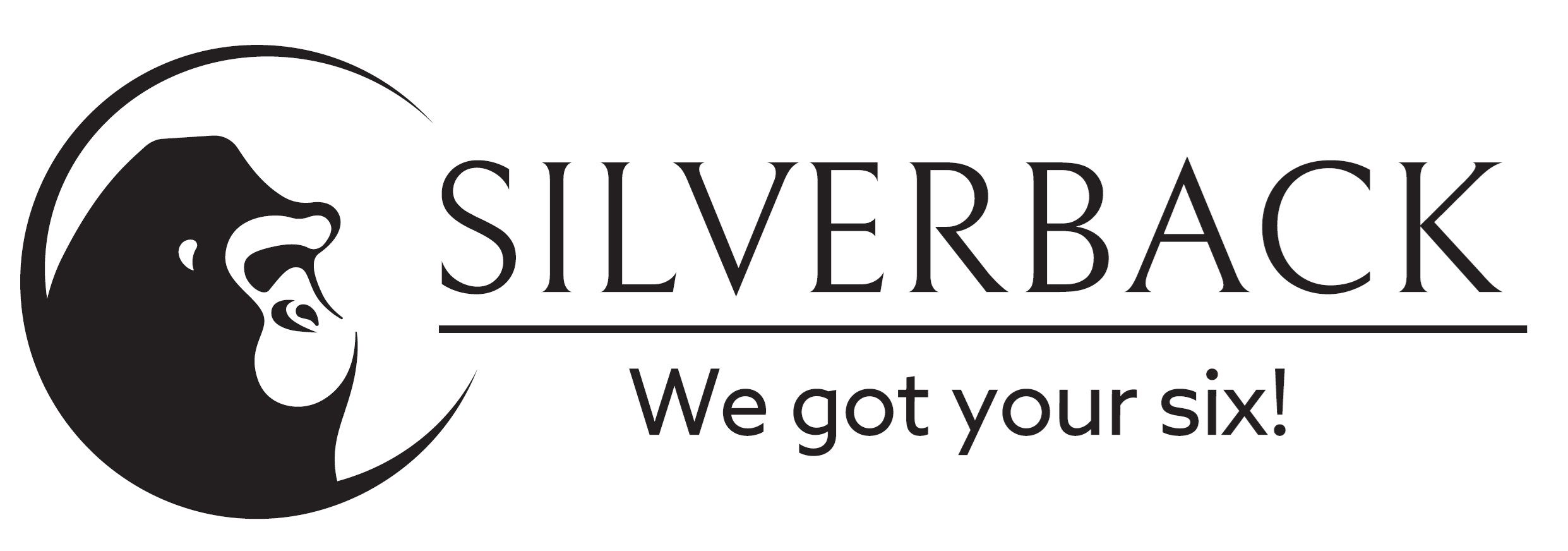 SILVERBACK EOOD